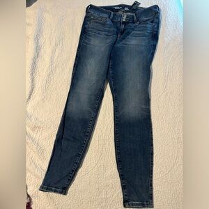 Torrid Jeggings Skinny Jeans 14T